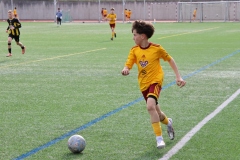 1Y7A4177