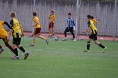 1Y7A4293