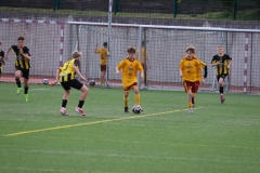 1Y7A4297