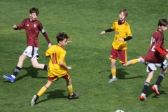 1Y7A4774