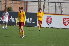 1Y7A3603