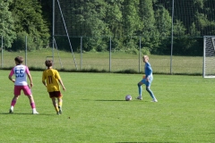 1Y7A5902