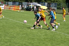 1Y7A6001