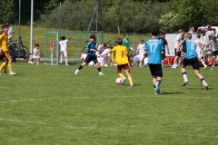 1Y7A6019