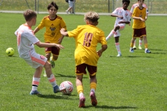 1Y7A6108